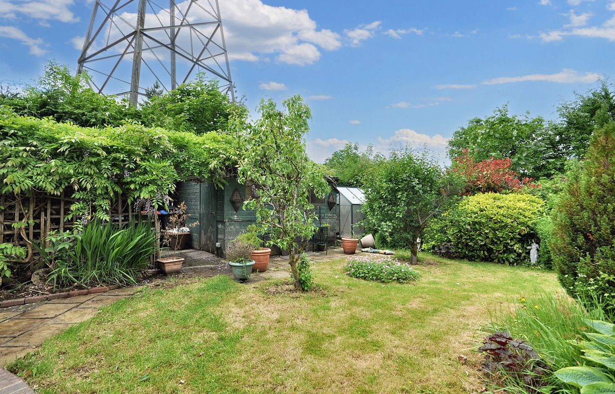 Garden 8